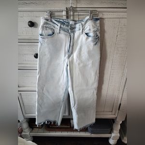 Vervet Cropped Relaxed Wide Leg Jeans